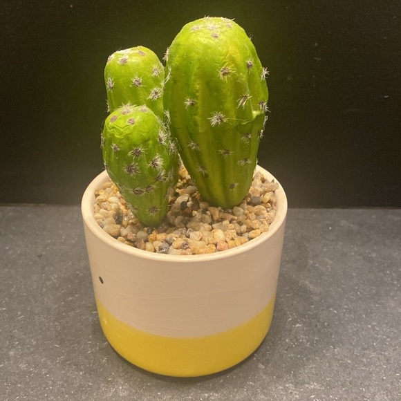 Faux Cactus Planter - Picture 2 of 5